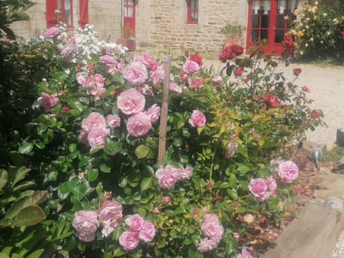 gite charme bretagne
