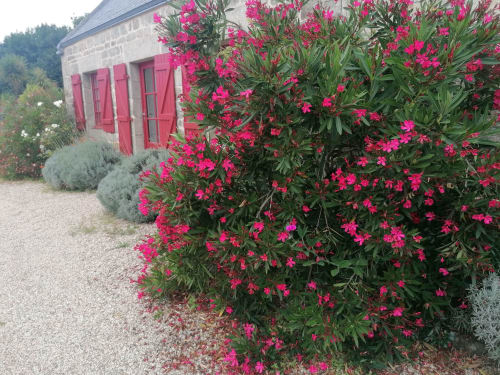 maison d'hôtes de charme bretagne
