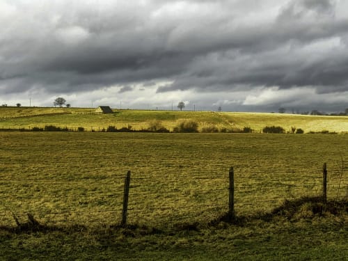 Vue d'une pature sur Aubrac