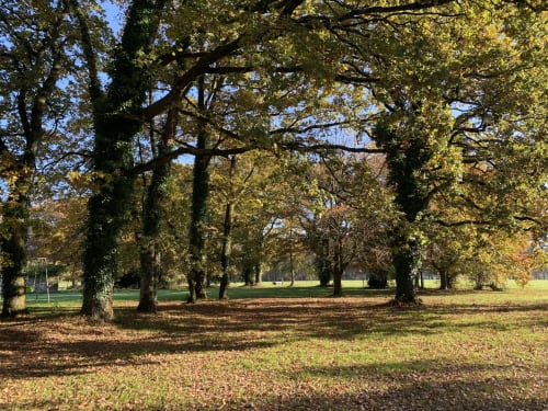 Parc du Domaine de La Briandais | Hôtel et Restaurant | Lieu de sobriété électromagnétique | Missillac - 44