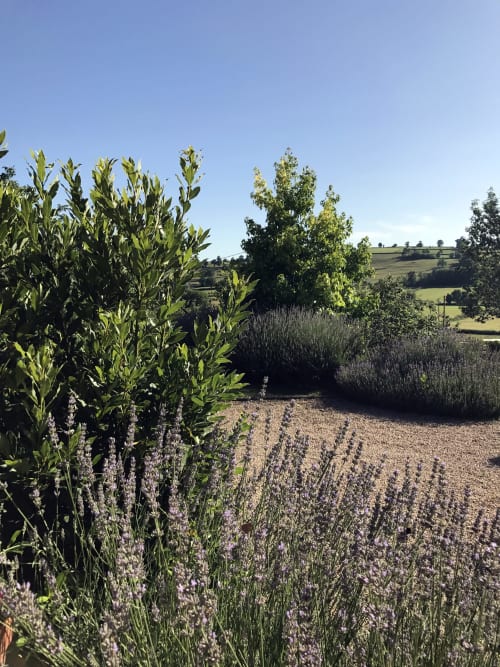 visiter la bourgogne