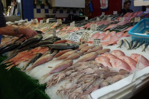 marche poisson  La belle Vie chambre d'hôtes Nouvelle Aquitaine capbreton
