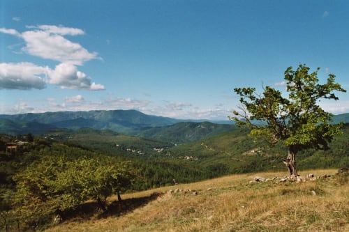 vallées des Cévennes-parc national-Portes-Gard