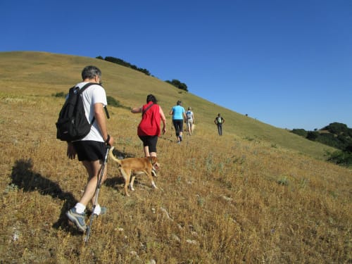 Agriturismo Ca' Le Suore | agriturismo con camere, vacanze in agriturismo, agriturismo con piscina, agriturismo dove dormire, agriturismo nelle Marche, Agriturismo a Cagli, alloggi a Cagli. Casa con giardino, Casa con terrazza. Casa con piscina. Escursioni, attivitá, corsi all'aria aperta, sala congressi Marche, ritiri yoga, corsi di cucina marchigiana.