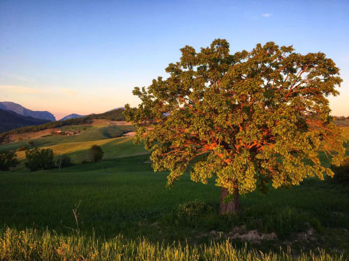 Agriturismo Ca' Le Suore | agriturismo con camere, vacanze in agriturismo, agriturismo con piscina, agriturismo dove dormire, agriturismo nelle Marche, Agriturismo a Cagli, alloggi a Cagli. Casa con giardino, Casa con terrazza. Casa con piscina. Escursioni, attivitá, corsi all'aria aperta, sala congressi Marche, ritiri yoga, corsi di cucina marchigiana.