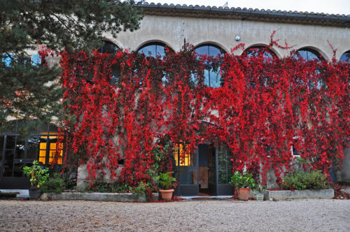 Façade Le Mas de Cyjelac - Maison d'hôtes de charme à Saint-Denis, Gard