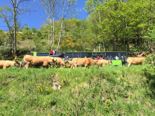 Espace Spa Jacuzzi entrée et terrasse privative, jardin privatif, grand lit double, lumineuse, bordée d'un torrent directement sur la terrasse, vue direct sur la nature, sans voisins, en Aubrac, grand lit double, chambres, hotel en Aubrac , en Aveyron, coin bureau, télétravail, tv et wifi haut débit, salle de bain douche à l'italienne refaite en 2023,  4 personnes.  Espace barbecue frigo réfrigérateur viande d' Aubrac  Chambre cocooning tranquille, vue sur la nature, et torrent d'Aubrac en Aveyron séjour chambre d'hôtes aubrac Aveyron nature 12 neige ski hotel hébergement authentique plateau aubrac randonnée éco écologique hôtels atypique, montagne campagne original logement rivière truites vaches buron laguiole nasbinals cascade du deroc transhumance original.repas pension Plateau dinatoire pour deux personnes petit déjeuner