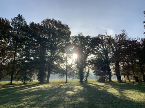 Soleil d'hiver | Parc manoir | Domaine de La Briandais | Missillac - 44