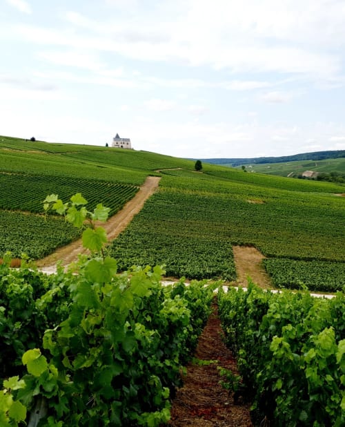  Le Clos des Coteaux - Loft Spa - Route du Champagne 