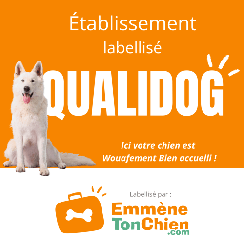la Villa du Rhône labellisée "Qualidog"  