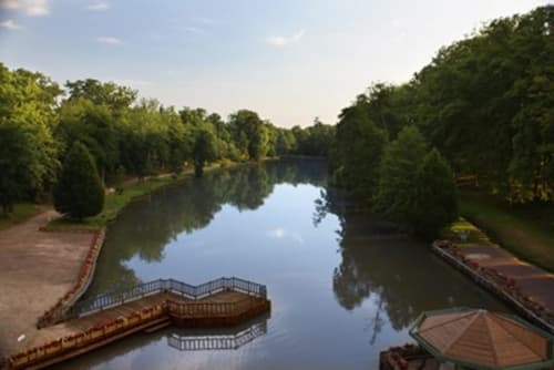 Bois de l'Epinay et lacs - Forges-les-Eaux