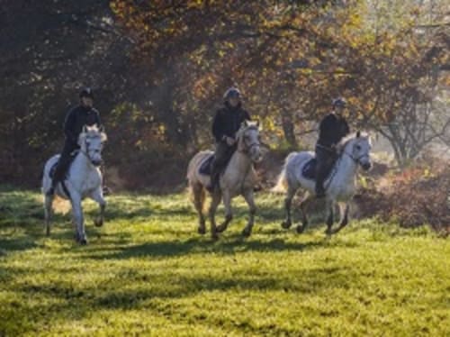 Centre hippique et poney-club Fabbri Danièle - Bois de l'Epinay - Forges-les-Eaux