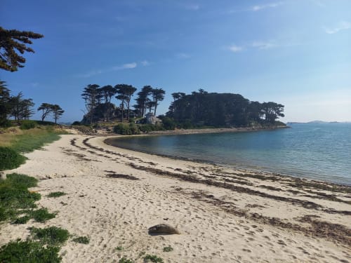 Plages pour se baigner proche Santec - vacances Finistère - chambres d'hôtes les quatre vents 