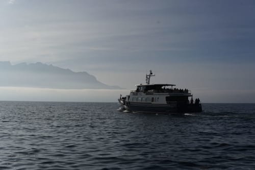Activités à faire Santec  Finistère - croisière en bateau - chambre d'hôtes Les quatre vents 