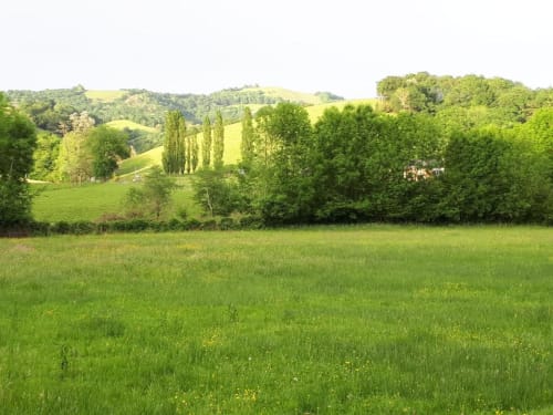 Chez Naty chambre d'hotes Pays Basque gîte d'étape pour pèlerins. Paysage de la Soule, vu de la maison. aucun vis à vis: que de la nature verdoyante.