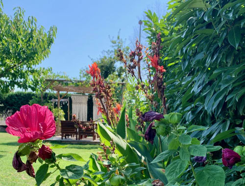 Bed & Breakfast Les Tignoliers - Maison d'hôtes avec piscine - proche aéroport Lyon St Exupéry