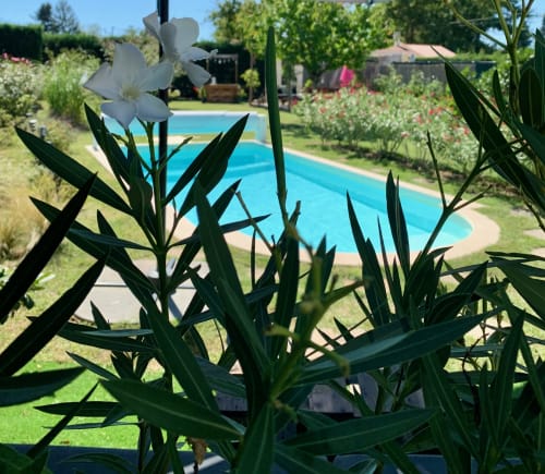 Bed & Breakfast Les Tignoliers - Maison d'hôtes avec  piscine chauffée - Lyon