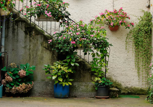 chambre d'hotes ribeauville haut rhin
