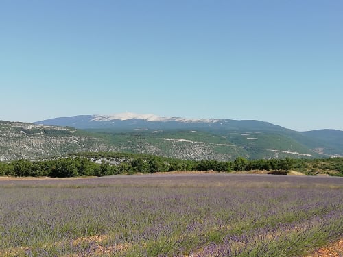 Location bungalow 5 personnes - La Maguette - Vaucluse