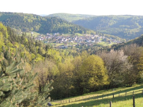 Paysage en lorraine, vacances, séjour Haselbourg, Fredgites, Alsace, Vosges. 