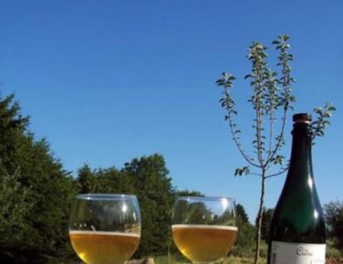 Clos de la fontaine hugo - cidrerie Thiérache 