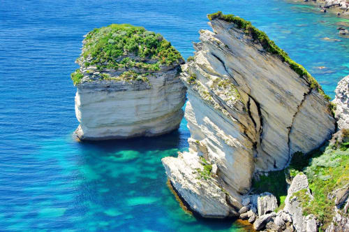 Résidences la Tonnara - Holidays in the South of Corsica