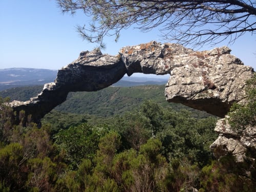 Parque Natural los Alcornocales, Cortijo La Bodega, Benaoján, Málaga, Andalucía 