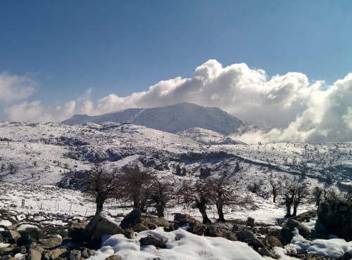 Parque Natural Sierra de las Nieves, Cortijo La Bodega, Benaoján, Málaga, Andalucía 