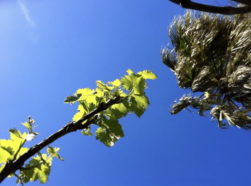 Exteriores, Paó Blau - Pensión rural con piscina en Pau, Cataluña