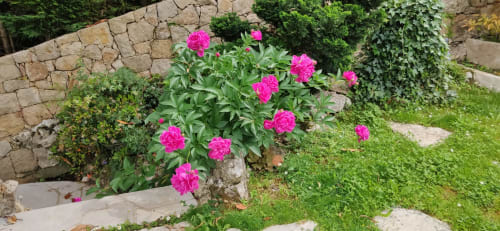 Blühender Garten: Provenzalische Poesie und authentische Natur. Diskreter Luxus inmitten mediterraner Düfte.