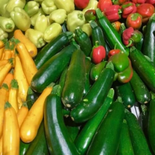 circuit court pour les légumes et les fruits de producteurs en direct