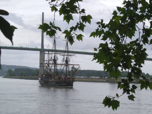 l'Armada, grand rassemblement de vieux gréments à Rouen, ici sur la route du retour vers Le Havre passant sous le pont de Brotonne. Chambres d'hôtes DUCK HOUSE.