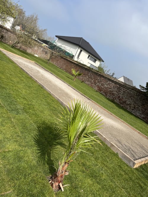  photo du Terrain de pétanque disponible pour les clients