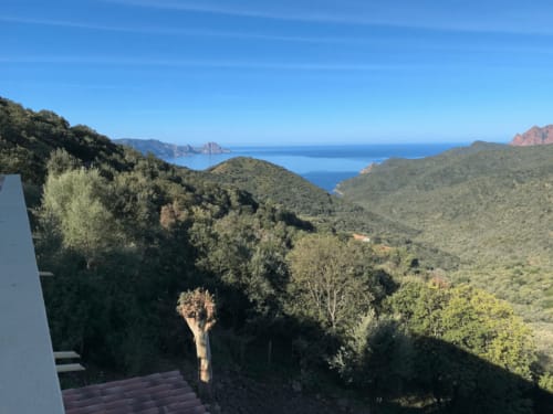 villa Partinello Corse du Sud - les Asphodèles