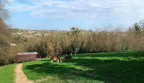 Domaine des Laminak - Bidache - paysage
