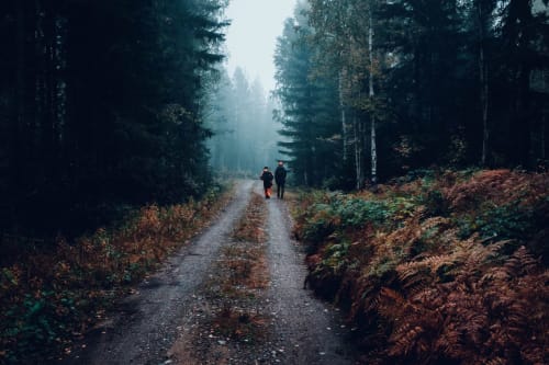 activités dans les Vosges - visiter - Colmar - Vosges