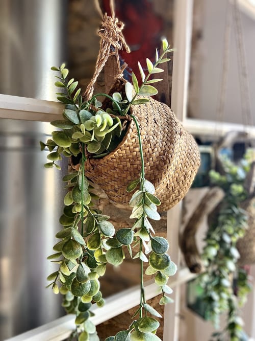 Ambiance jardin au Moulin de Pascale : décoration soignée et plantes grasses sur la terrasse du studio.