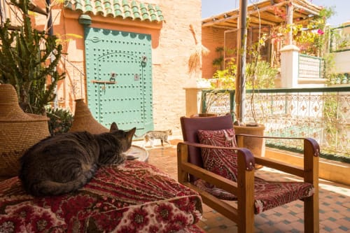 Riad Dar Kleta Marrakech - Médina salon terrasse et chat