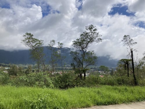 Vue sur la nature - Île de La Réunion - la kaz 57