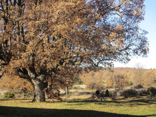Ferme auberge La Maguette - repas en famille en extérieur - Sault en Provence