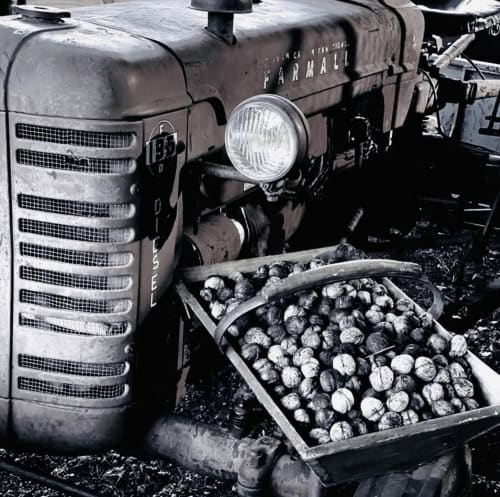farmall - maccormick - domaine de cazal - champs et forets - au coeur de la nature