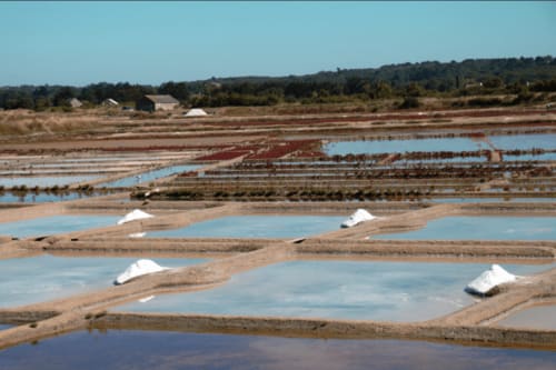 Les marais salants de Guérande Saint-Brieuc - Gîte et Chambres d'hôtes Ker Corsica