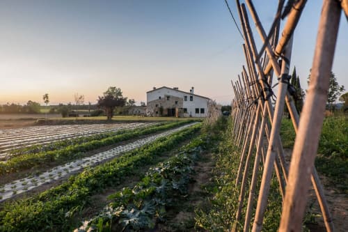 agricultura eco
organic
bio
agroturisme