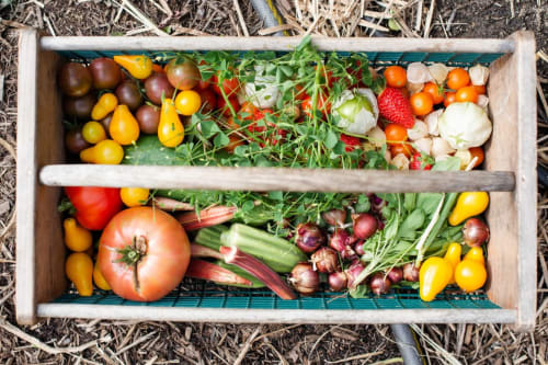 Potager - Gîte et chambre d'hôtes - La Penhatière