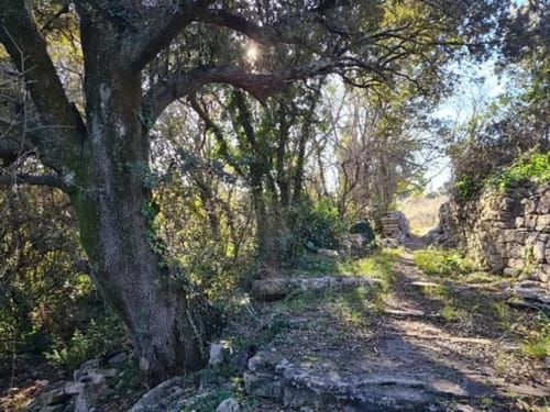 Balade autour de la maison d'hôtes - Vacances en Ardèche