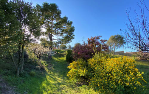 Domaine MAXXIM - Clermont L'Hérault - Jardin
