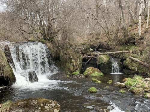 Chambre Automne, entrée privative, grand lit double, lumineuse, vue direct sur la nature, sans voisins, en Aubrac, grand lit double, chambres, hotel en Aubrac , en Aveyron, coin bureau, télétravail, tv et wifi haut débit, salle de bain douche à l'italienne refaite en 2023, possible jusqu'a deux 2 personnes. Chambre cocooning tranquille, vue sur la nature, et torrent d'Aubrac en Aveyron séjour chambre d'hôtes aubrac Aveyron nature 12 neige ski hotel hébergement authentique plateau aubrac randonnée éco écologique nuitée Aubrac hôtels atypique, montagne campagne original logement rivière truites vaches buron laguiole nasbinals cascade du deroc transhumance original.Plateau dinatoire pour deux personnes