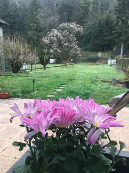 Le gîte du château Schirmeck Alsace - location de vacances Alsace gîte et appartement - terrasse et jardin
