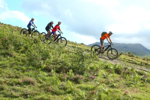 Sortie en VTT électrique à Saint-Pée-sur-Nivelle avec Noa Aventure, rencontre avec les Pottoks dans la montagne basque.
