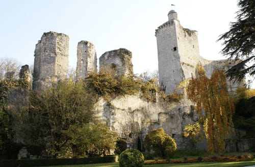 Les tourterelles - chambre d'hôtes - Chateau de Vendôme